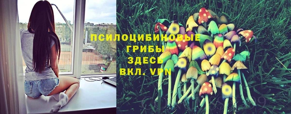 сатива Михайлов