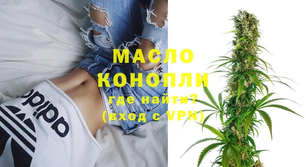 сатива Михайлов