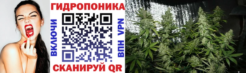 дарк нет Telegram  Чёрмоз  МАРИХУАНА план 